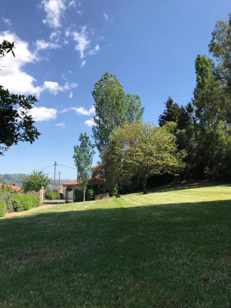 Oasis Olympia Apartments Smila 外观 照片